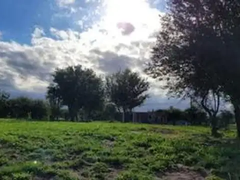Terreno en Venta de 350,0 m2