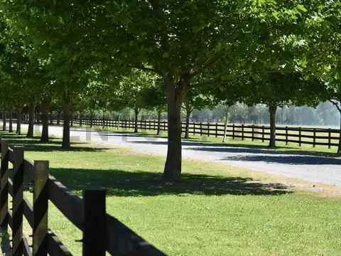 Terreno en Venta en Countries y Barrios Cerrados en General Rodríguez, USD 80.000