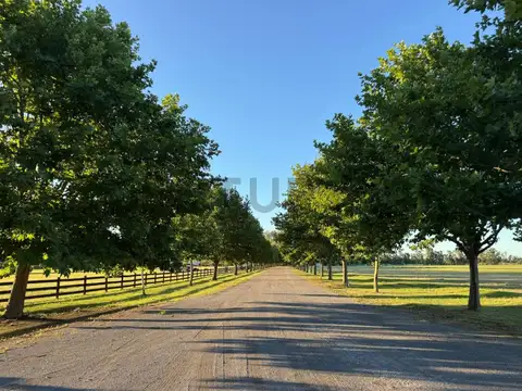 Technopolo club de Campo y polo