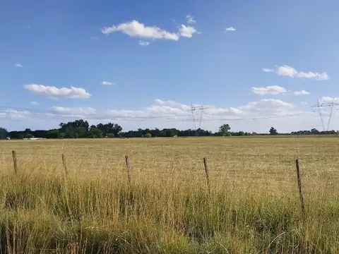 Venta Campo  en Lobos 16 has - Paraje Las Chacras