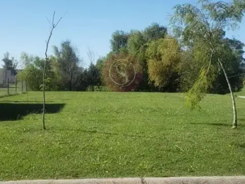 PILAR DEL ESTE-SANTA ELENA 100