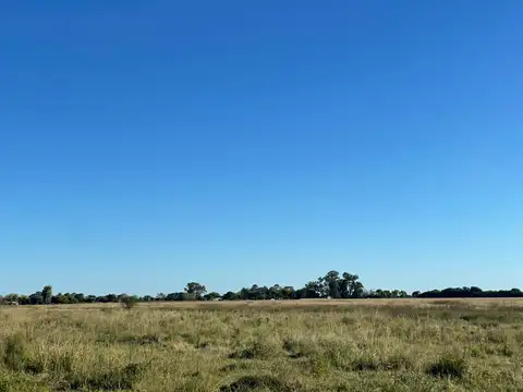 Campo en venta AGRICOLA 200 HECTAREAS - SANTA FE - RUTA 1 colonia san joaquin - santa fe -
