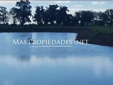 Venta Terreno / Lote interno en Santa Clara Canning 100