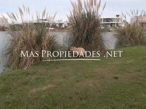 Venta Terreno / Lote interno en Santa Clara Canning