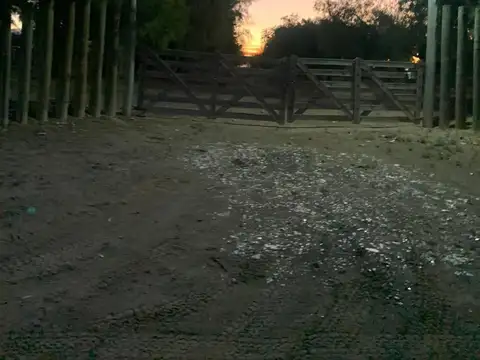 Venta Finca Alfalfa apta feedlot en San Martín