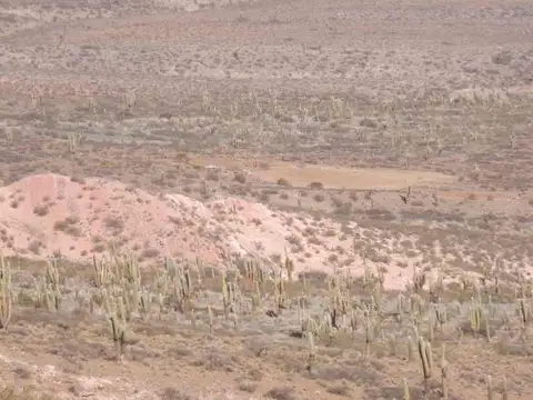 Cachi. Ruta Nacional 40 4500