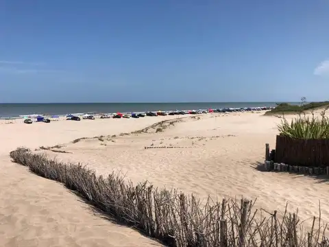 AVUTARDA Y NOGAL