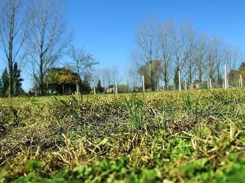 Terreno en BARRIO CERRO RICO II