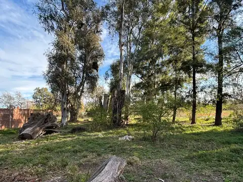 Gran Lote a 100 mts de Ruta 1
