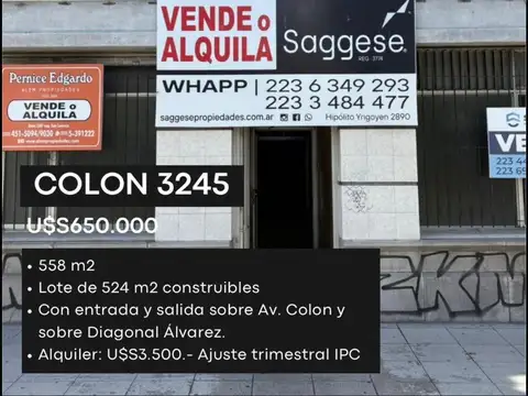 Terreno en Alquiler en Mar del Plata, USD 3.500