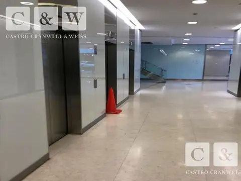 Oficina en Alquiler con 12 cocheras
