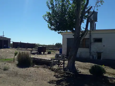 Vendo Campo en Santa Rosa