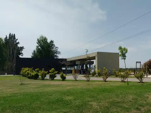 Haras de Funes - Lote 5