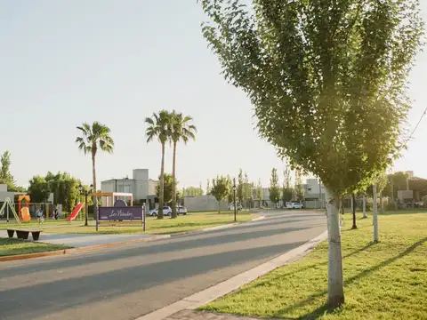 Barrio Abierto Los Viñedos