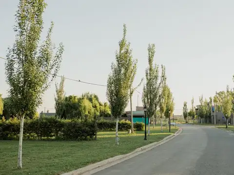 Terreno en Venta 46  mts Fondo