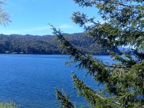 Excelente lote en lago Correntoso