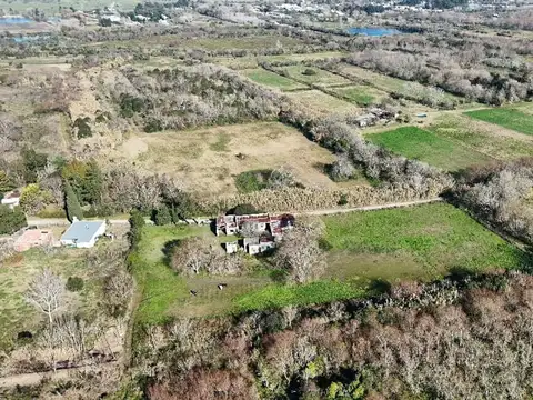 VENTA CAMPO DE 6,14 HAS EN LOS TALAS -BERISSO
