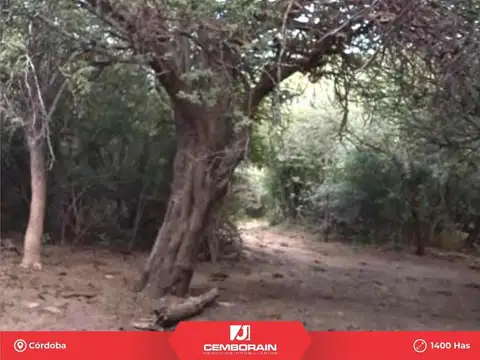 1400 hectareas ruta 51 Chancani Cordoba Argentina
