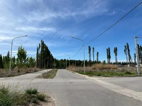 Alberdi 02