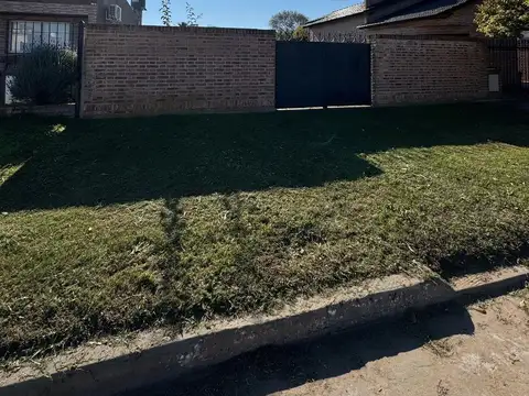 Aristobulo del Valle 100