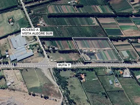 VENTA CHACRA 5 HECTAREAS-FRENTE RUTA 7 CENTENARIO
