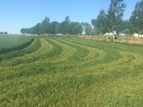 CAMPO RUTA 9 -53,5 HA PRODUCTIVO ALTO POTENCIAL