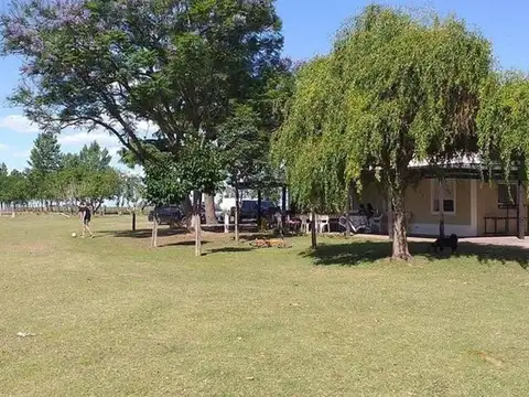 Ruta Nacional 9 km 217 200