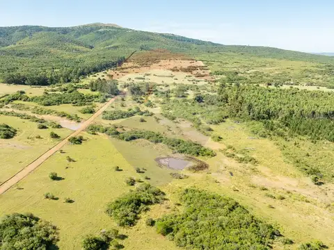 Chacra en venta con vista a las sierras Piriápolis