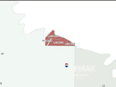 Ruta 95 100
