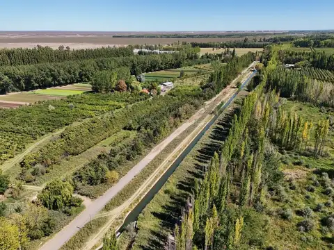 Maria Celina Cichero y Calle 10, Centenario 100