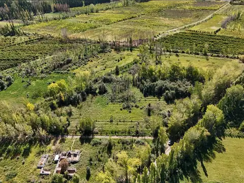 Maria Celina Cichero y Calle 10, Centenario 100