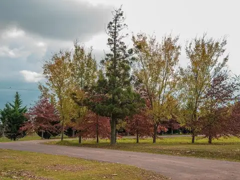 VENTA: Terrenos de 1000 Estancia La Rinconada Ibarlucea, a 25' de Rosario, ruta 34
