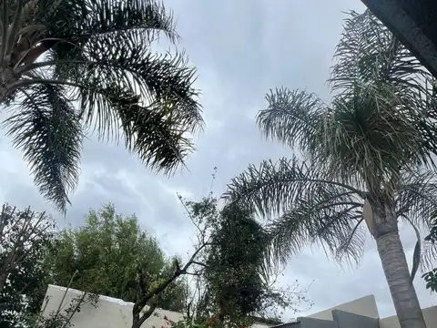 Isleños al 2400