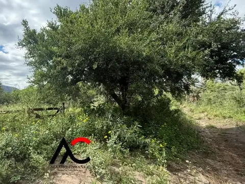 Terreno en Venta en Río Juan Gómez, USD 24.000