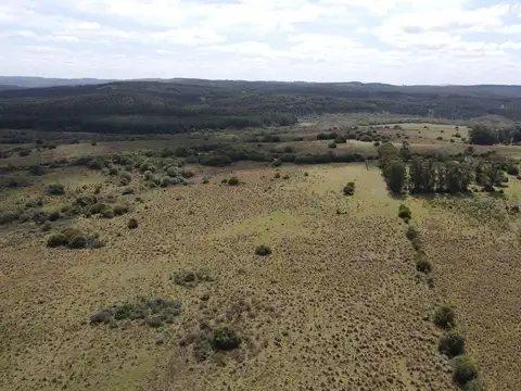 Campo de 50 ha ganadero en Maldonado, Garzon