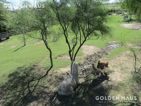 Terreno en Venta 30  mts Fondo