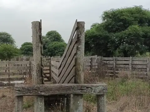 Zona Rural