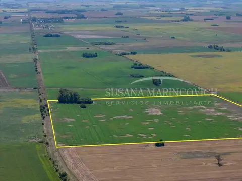 Campo Agricola de 40ha en Azcuenaga