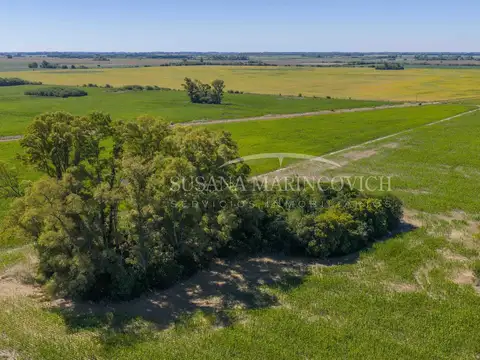 Campo Agricola en Azcuenaga