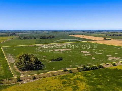 Campo Agricola de 40ha en Azcuenaga