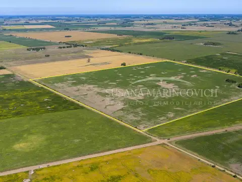 Campo Agricola de 40ha en Azcuenaga