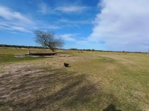 Excelente Campo de 52 Has en Ensenada–La Plata