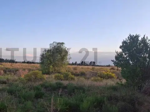 LAS MERCEDES , Piso 0