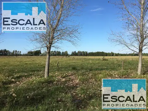 Terreno en Venta de 19374,0 m2