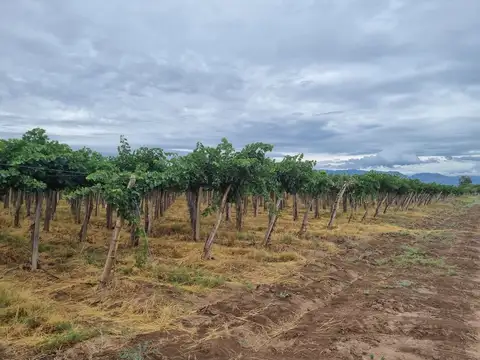 Moyano esq Mendoza