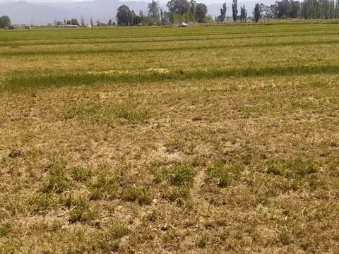 VENTA FINCA 6 ha-EL PASTAL LAVALLE
