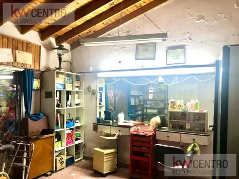 SALVADOR SOREDA al 5100