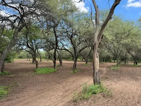 30 HECTAREAS EN VENTA - San javier, traslasierras