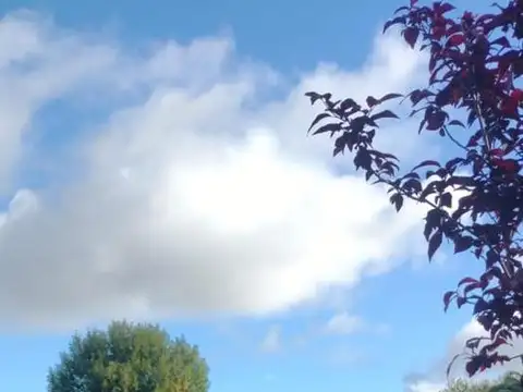 Tratado del Pilar e/ Juan De Zan y Eva Perón