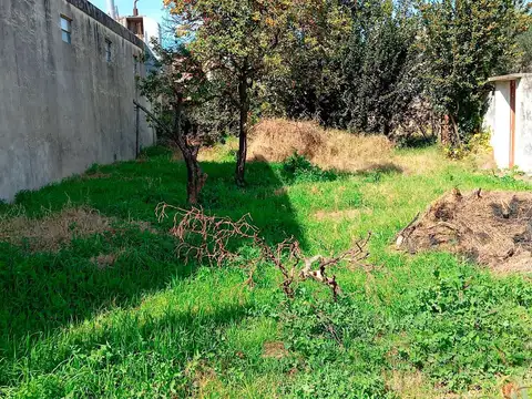 Terreno en Venta 29  mts Fondo